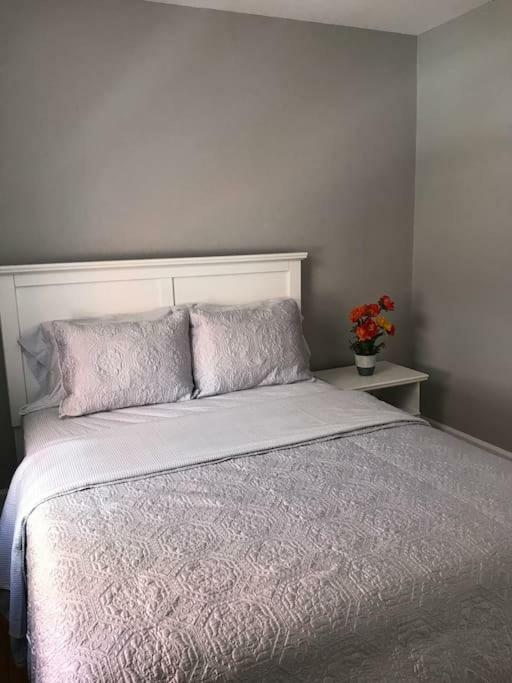 Bright, Clean, Private. In The Heart Of Downtown! Parking, Wi-Fi And Netflix Included Apartment Ottawa Exterior foto