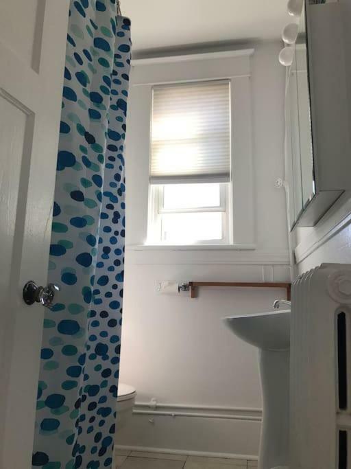 Bright, Clean, Private. In The Heart Of Downtown! Parking, Wi-Fi And Netflix Included Apartment Ottawa Exterior foto
